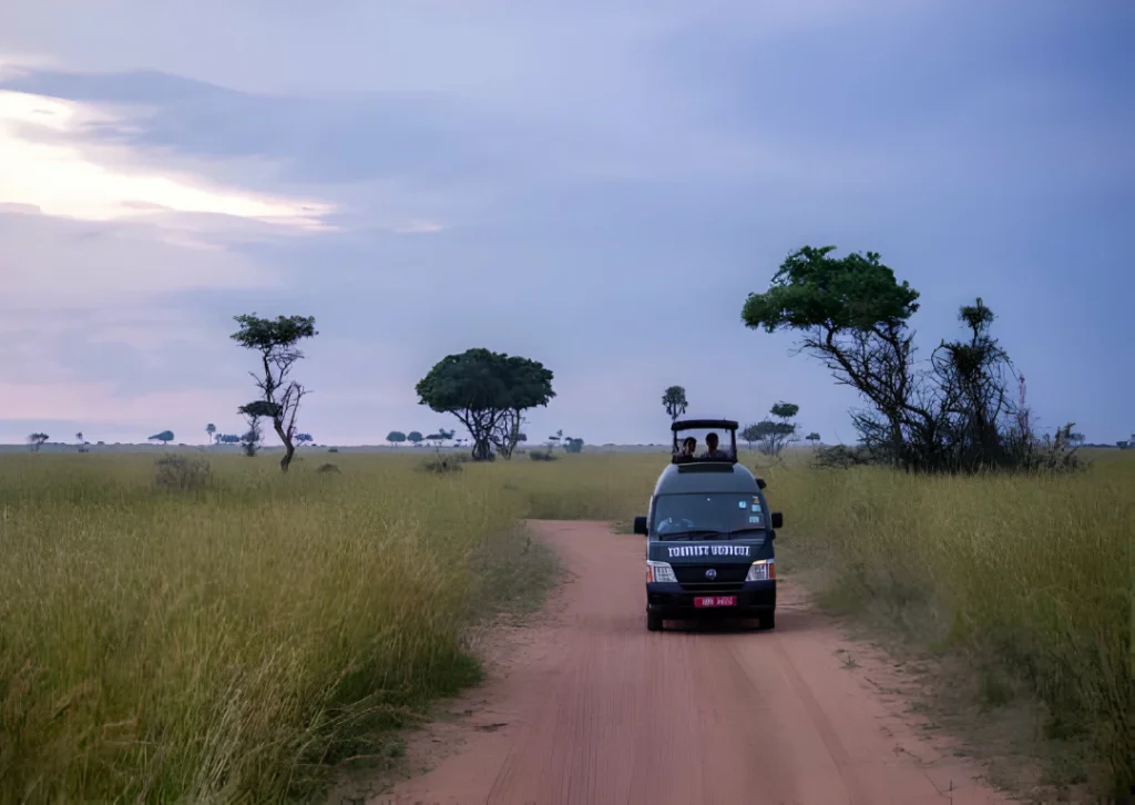 Uganda safari