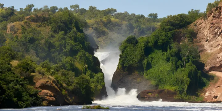 Uganda Safari