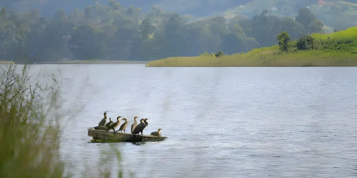 lake bunyonyi