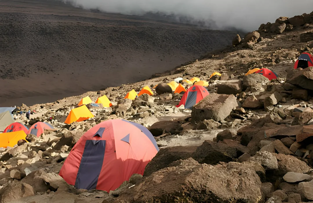 Kilimanjaro