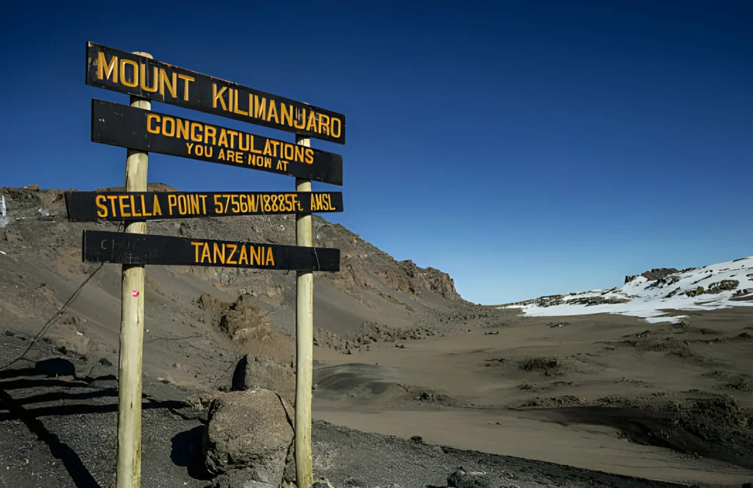 Kilimanjaro