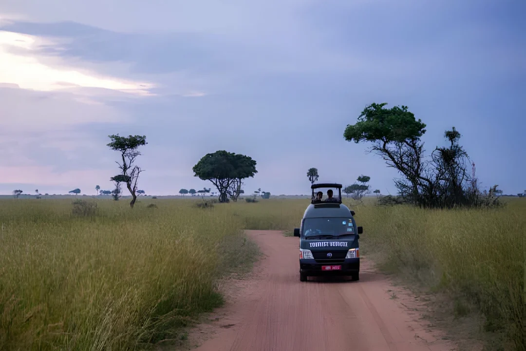 Uganda safari